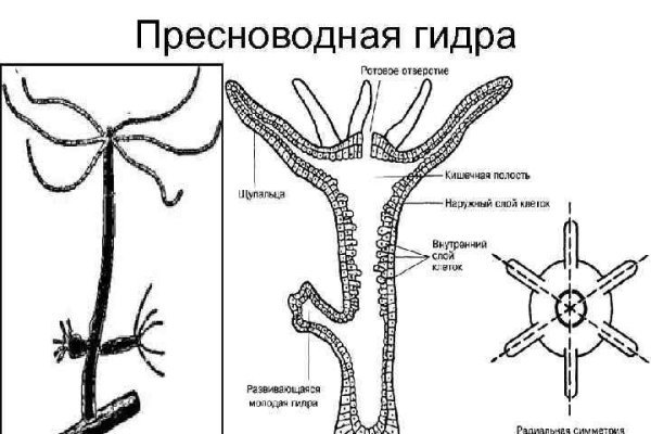 Кракен даркнет только через